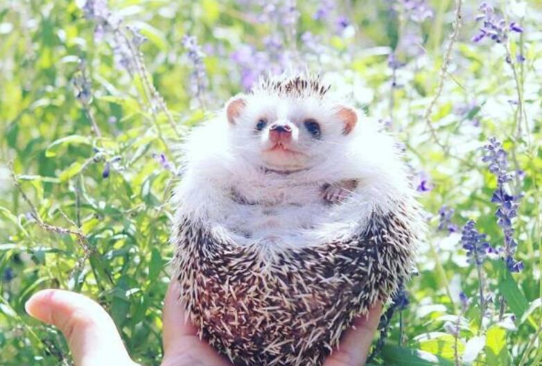 早安问候语录文案正能量语句