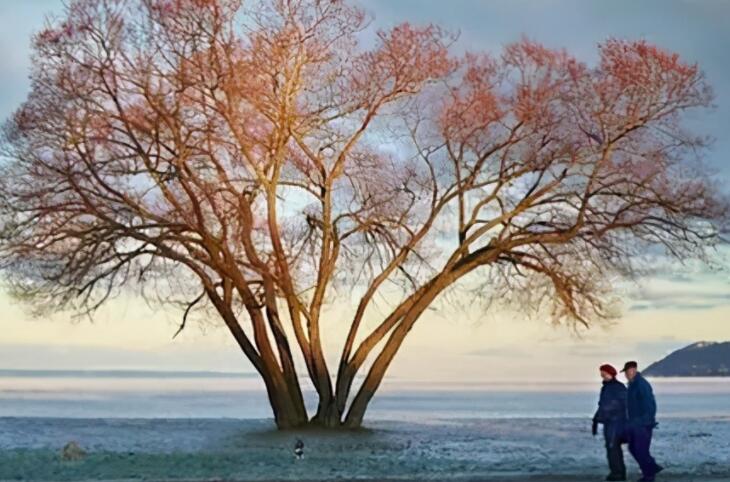 哲理句子文案加赏析短