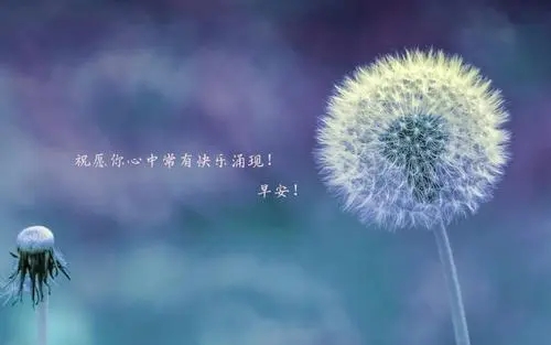 二次元正能量句子文案