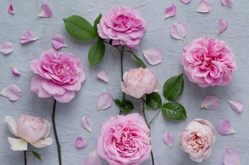 女人潇洒疯狂的句子文案