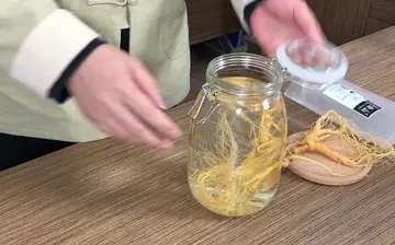 形容积累经验的重要性的诗句文案