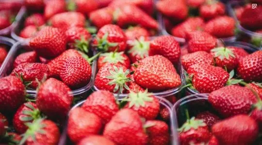 形容草莓的优美句子文案