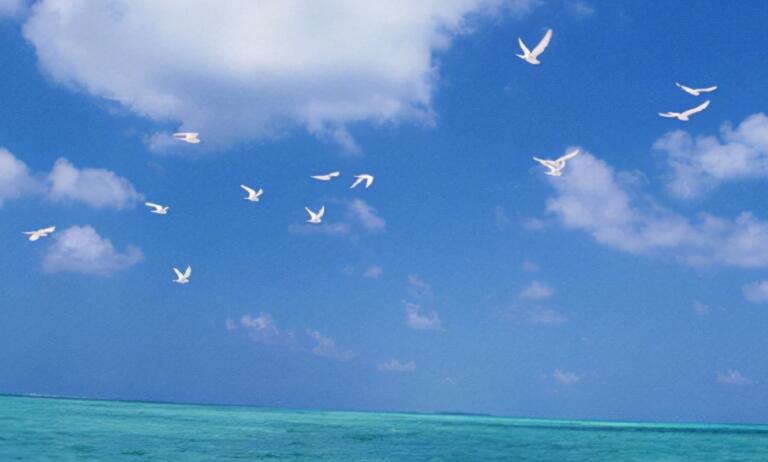 带有颜色的优美句子文案