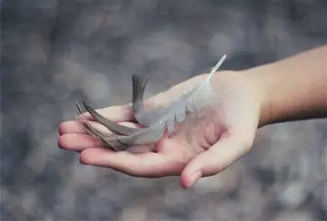 形容人生活朴实的句子文案