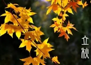 关于立秋的古诗有哪些