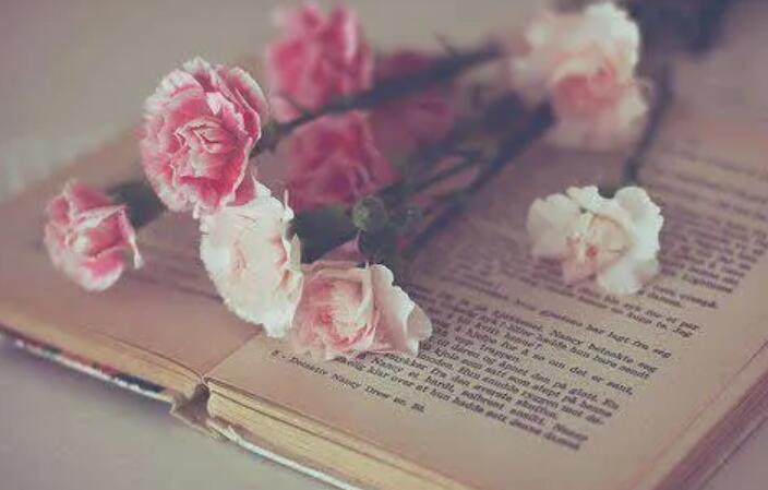 正能量优秀句子文案短句