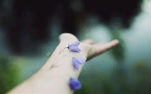 让自己舒服的句子文案说说