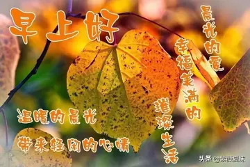 秋天问候语短句