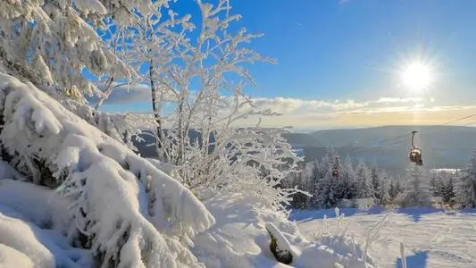 描写冬天景色的好句文案