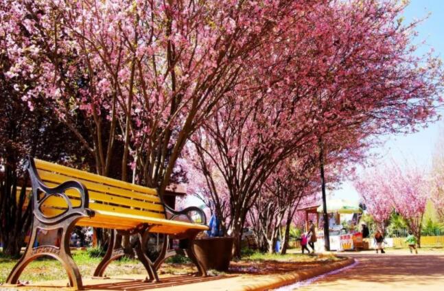 关于春天出游的句子文案有哪些?