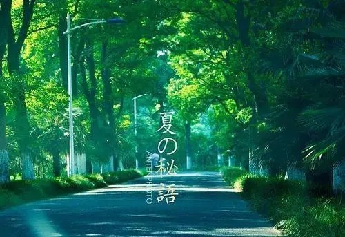 描写夏天的短句