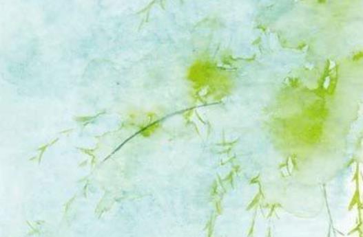 抄写精美句200字