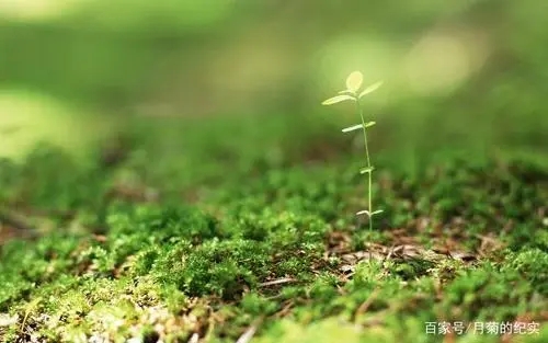 2024新年励志的句子文案