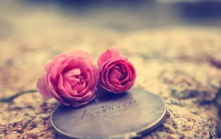 结束一段感情的句子文案