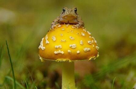 励志诗意的句子文案