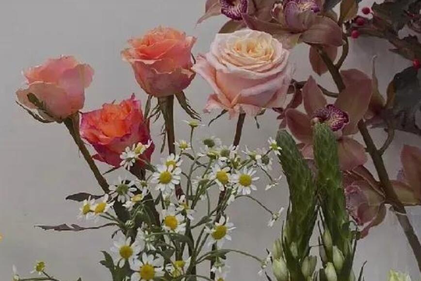 失去生命的句子文案