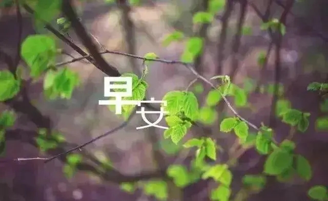 节假日早安问候语