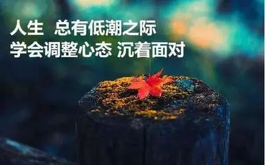 情感正能量的经典句子文案