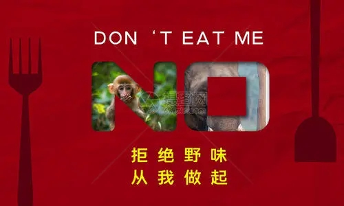 拒绝野味句子文案