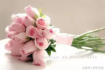 工作累了的句子文案说说心情短语