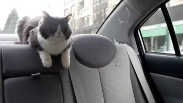 关于坐车的搞笑说说文案