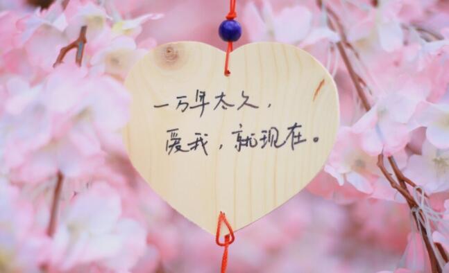 肉麻露骨表白的句子文案