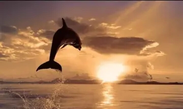 闪闪发光的句子文案还有哪些