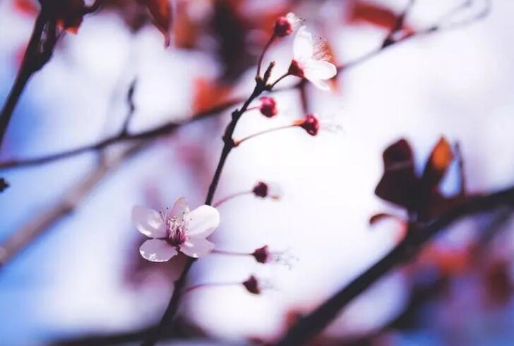 等人归来的优美诗词