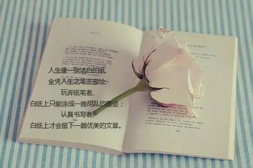 课外书优美语句文案摘抄大全