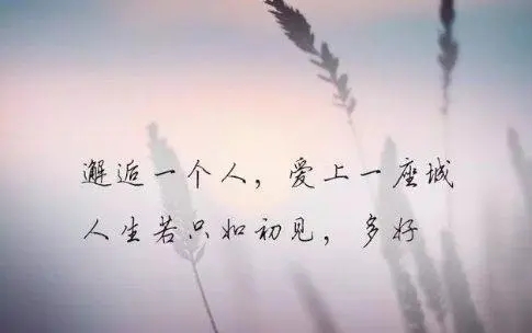 老婆受伤了心疼的句子文案