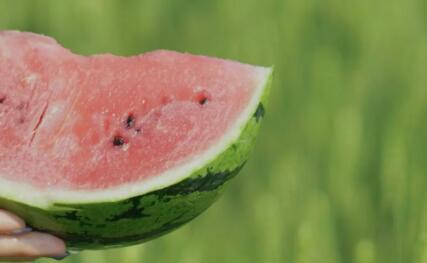 初夏的说说文案简单