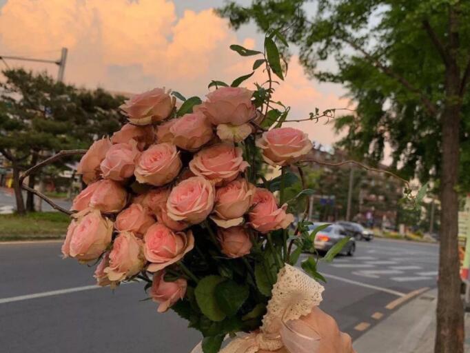 清晨的唯美图片及祝福语