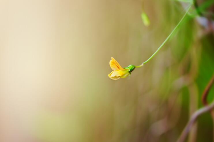 成长的代价的名言