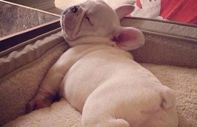 哄女朋友开心的笑话