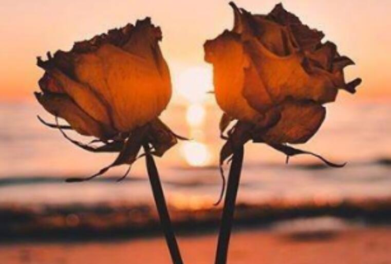 男人心碎心痛的句子文案