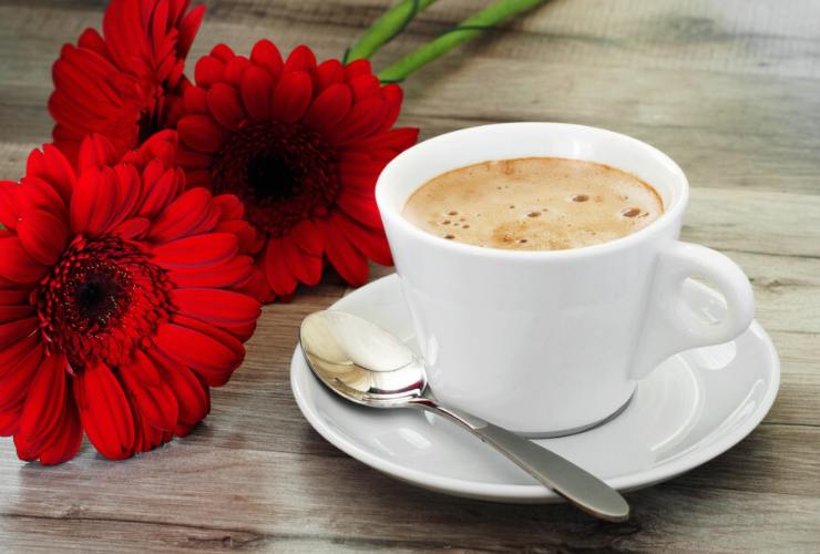 一句暖心的话送给自己