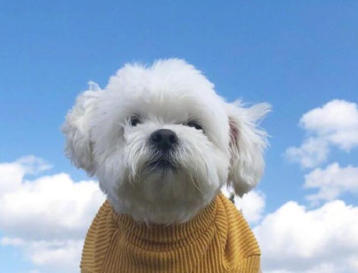 微句正能量的句子文案