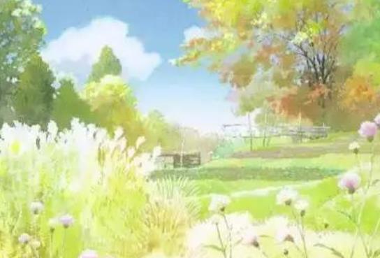 写夏天的句子文案