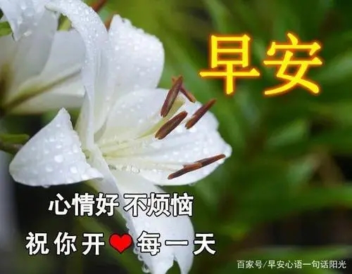 早上问候语简短加图片