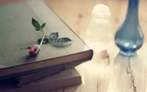 讽刺耍心机的人的句子文案