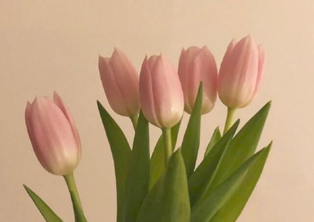 给男友的表白情话文案短句