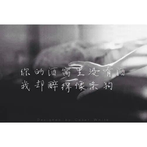 伤感言情语句文案