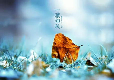 立秋说说文案朋友圈简短唯美寄语