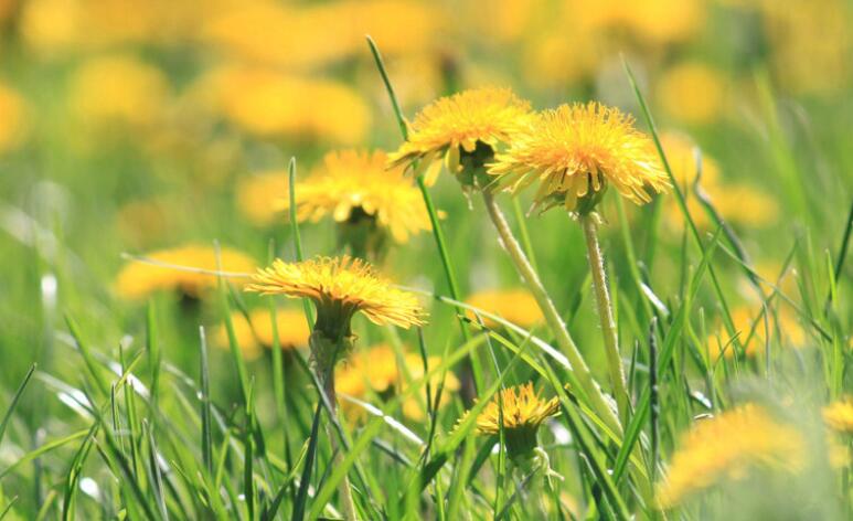 简单的三月三古诗