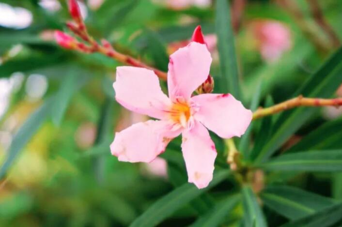 形容一切不过如此的诗句文案