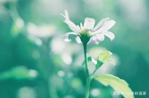 形容人穿衣服特别简单心也简单的那种句子文案