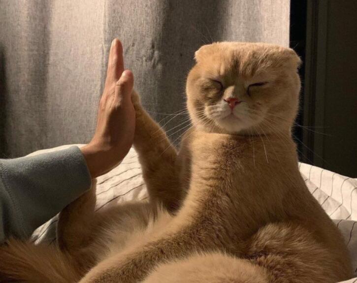 运动锻炼的正能量句子文案