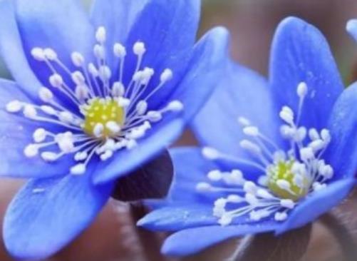 对爱情执着的心疼句子文案