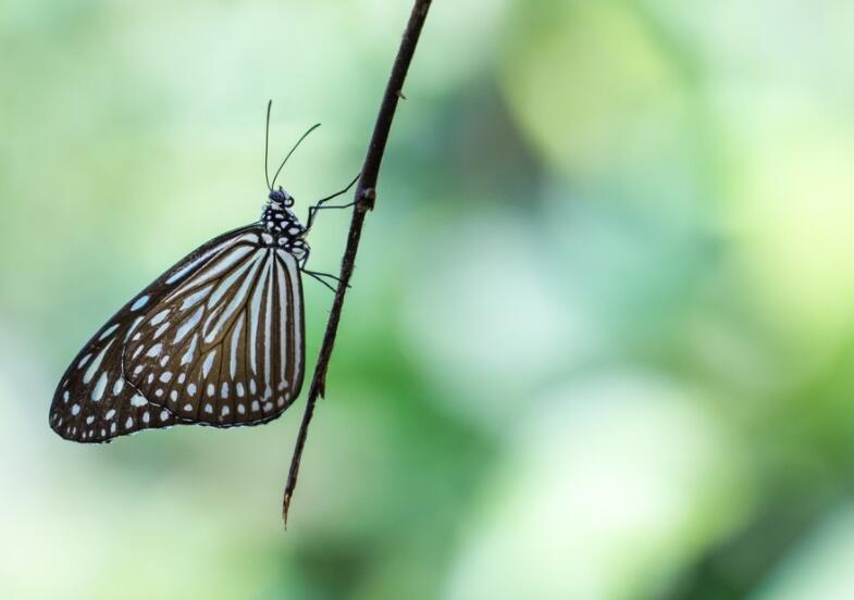 50字读后感及好词好句文案