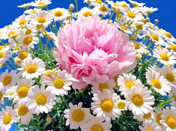 开开心心每一天唯美句子文案